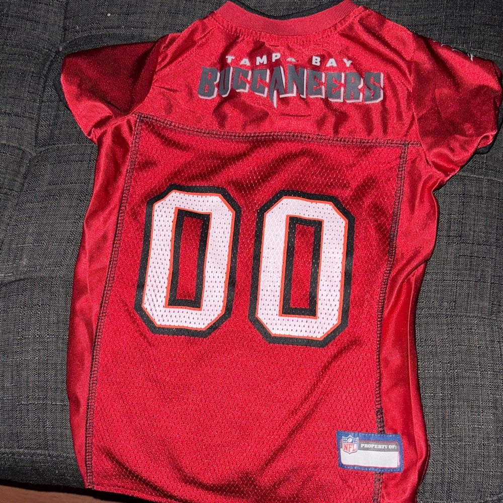 Tampa Bay Dog/pet Jersey - Picture 2 of 4